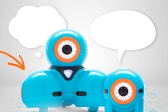 70682432_2912669295430163_7830360163889446912_n