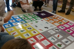 72197948_922915118074941_2077812810238132224_n