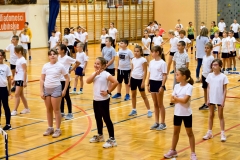 120040412_977581582732404_8931829447298739346_n