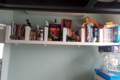 MicrosoftTeams-image (1)