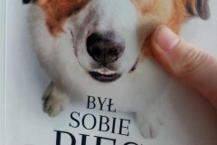 MicrosoftTeams-image