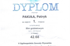 dyplom Pakuła Patryk 1