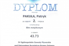 dyplom Pakuła Patryk