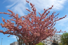 MicrosoftTeams-image (11)